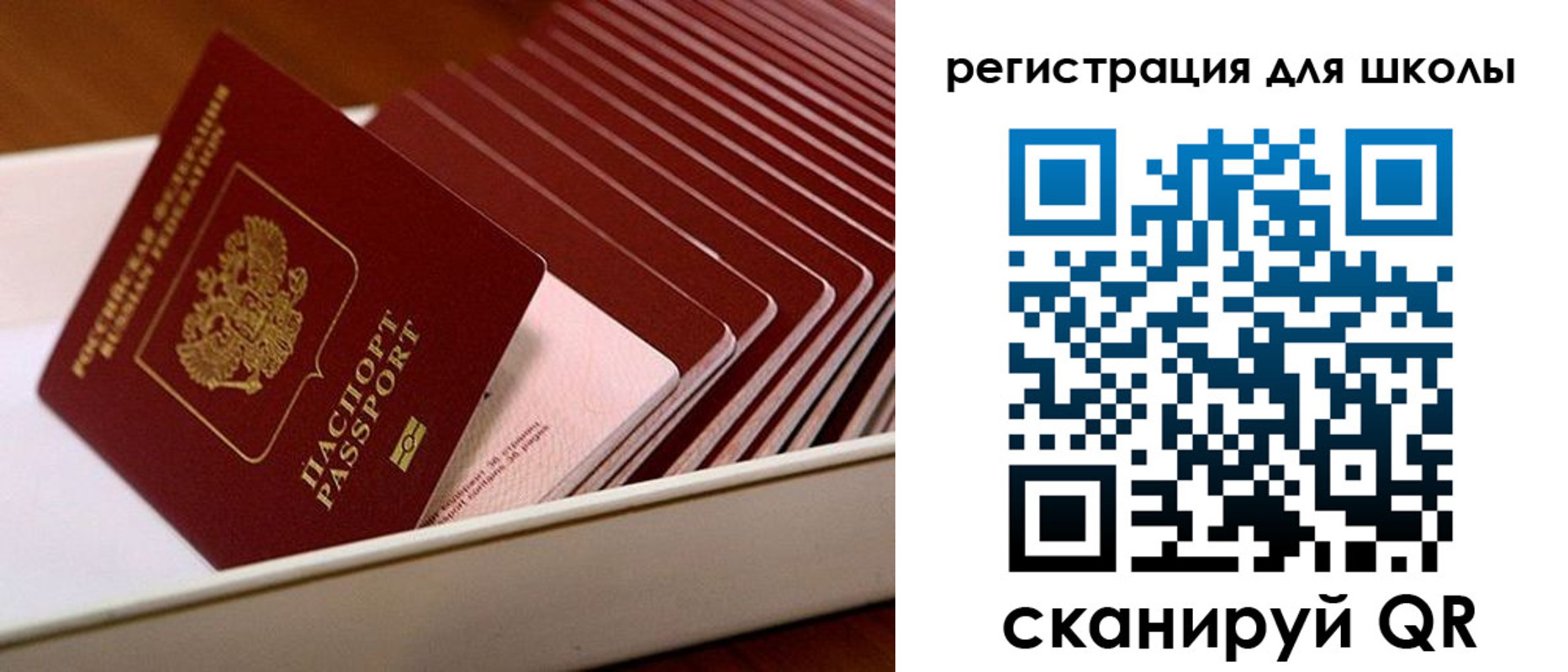 прописка гарантия в Александровске-Сахалинском